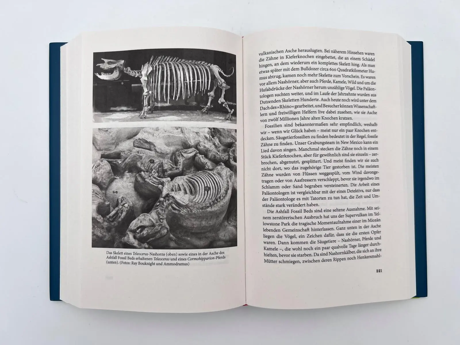 Bild: 9783492071932 | Eine neue Geschichte der Säugetiere | Steve Brusatte | Buch | 528 S.