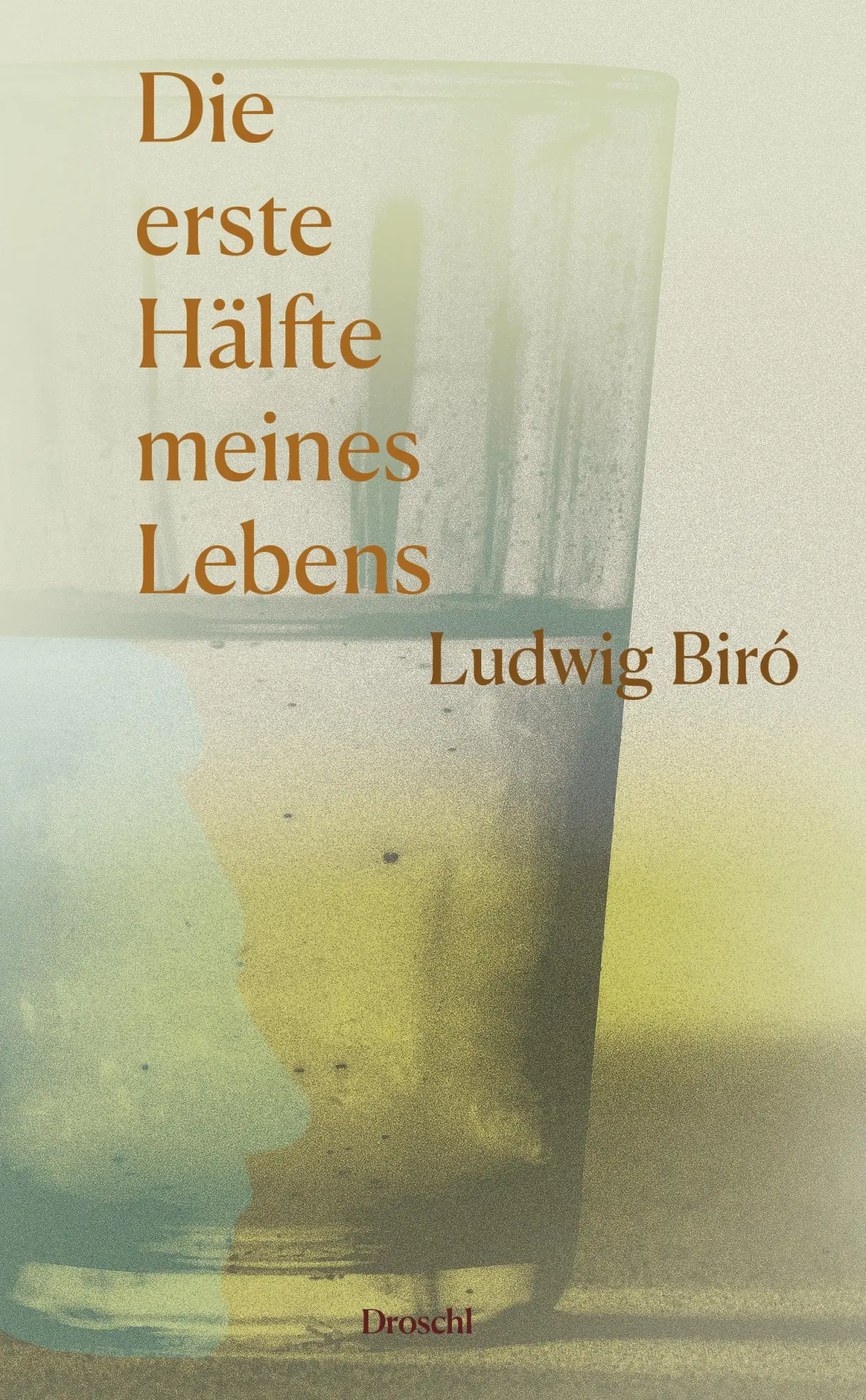 Cover: 9783990591932 | Die erste Hälfte meines Lebens | Ludwig Biró | Buch | 350 S. | Deutsch