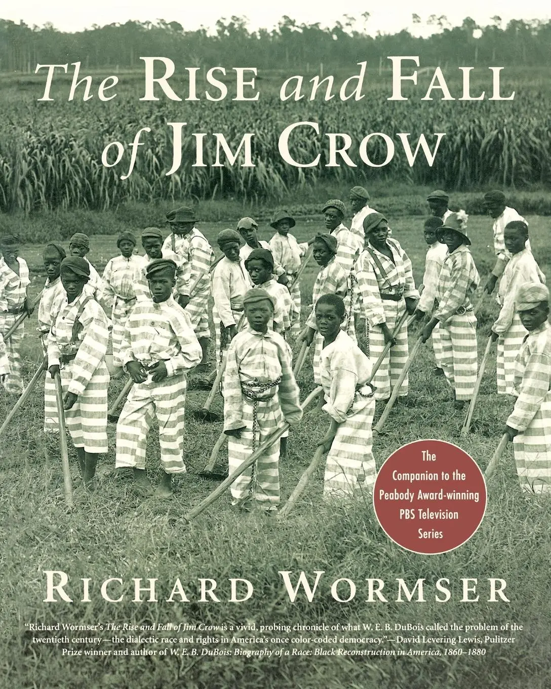 Cover: 9781250292032 | The Rise and Fall of Jim Crow | Richard Wormser | Taschenbuch | 2003