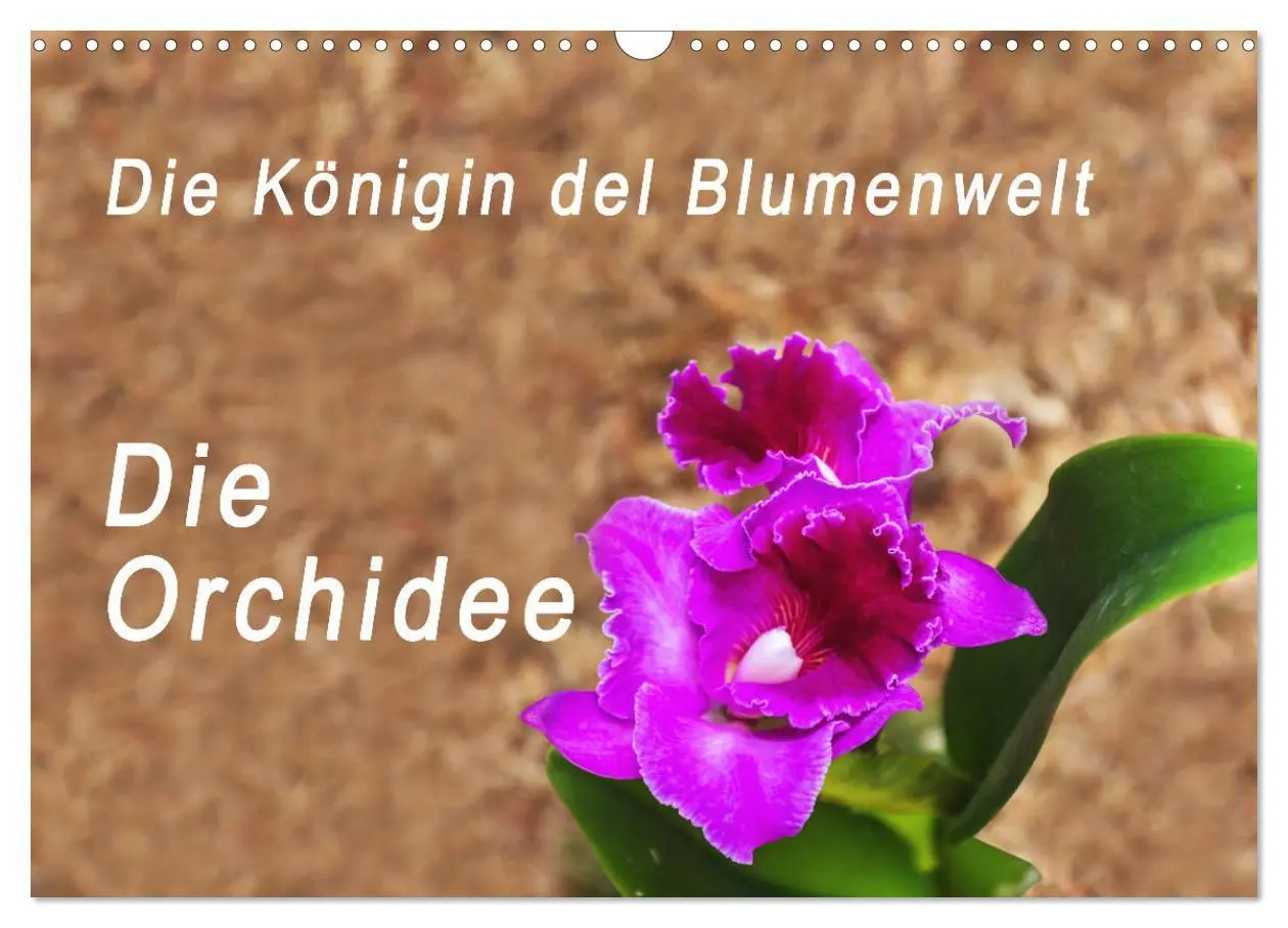 Cover: 9783457932032 | Die Königin der Blumenwelt, die Orchidee (Wandkalender 2026 DIN A3...