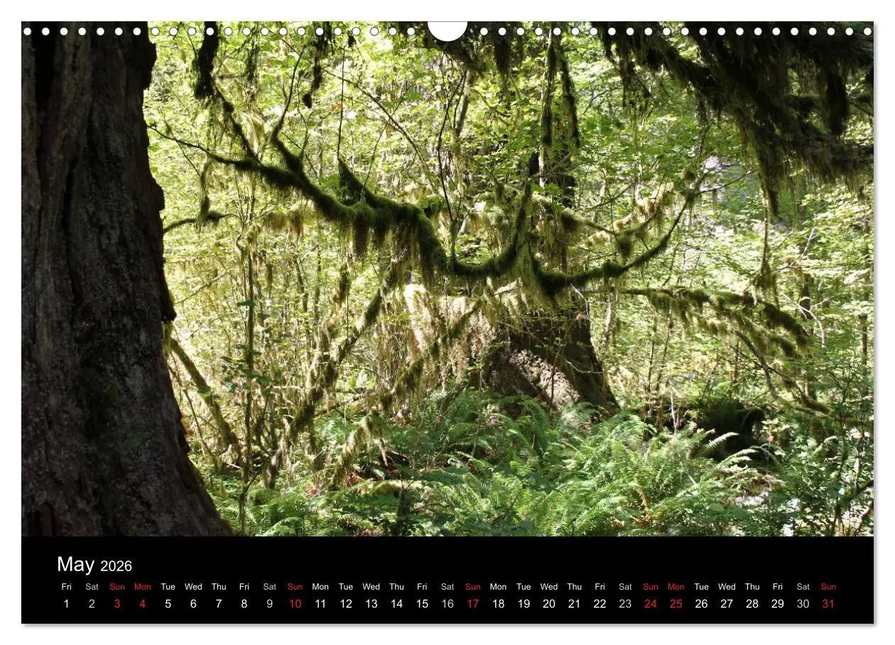 Bild: 9783516572032 | From Pacific to the Mountains 2026 (Wall Calendar 2026 DIN A3...