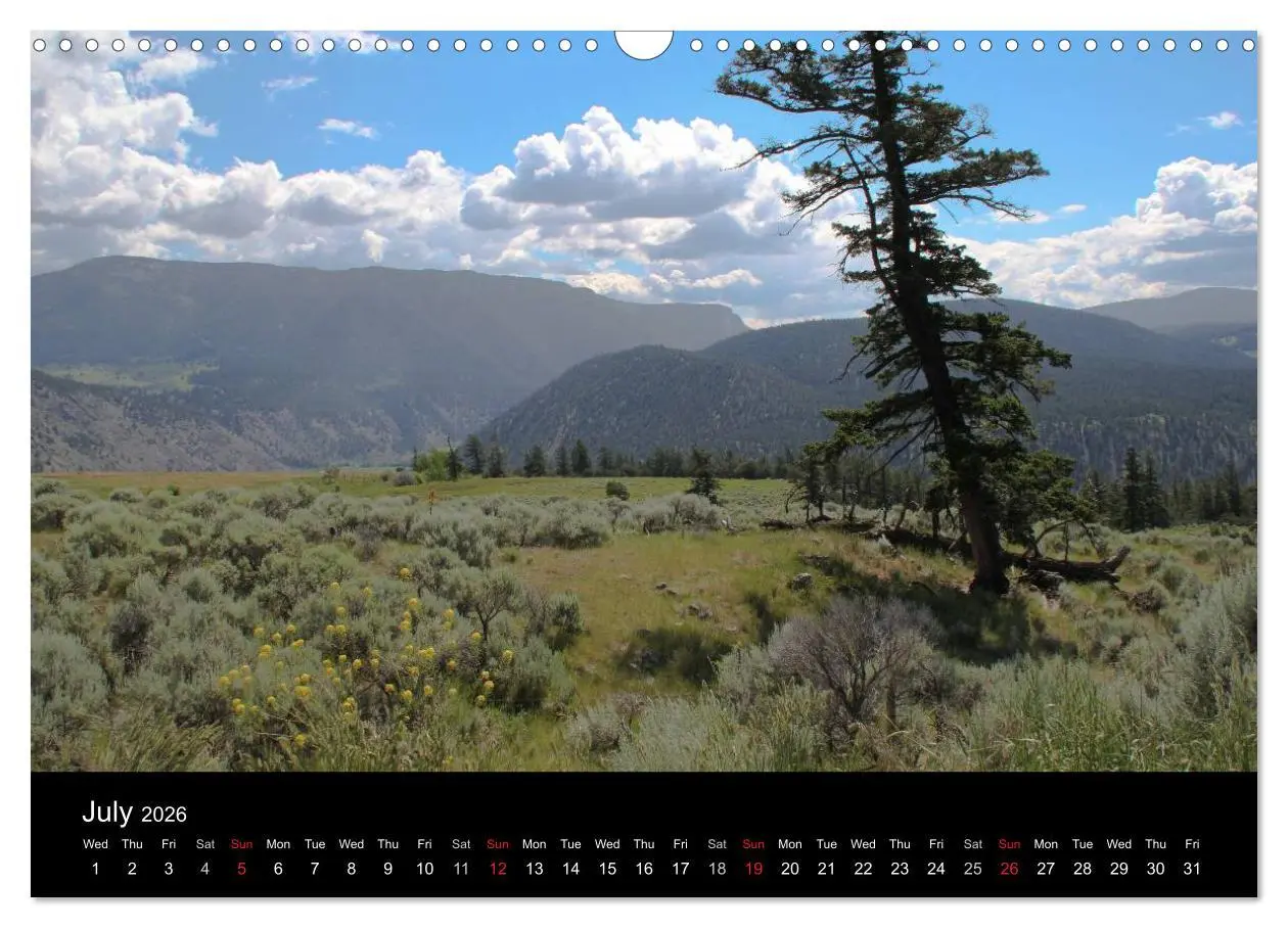 Bild: 9783516572032 | From Pacific to the Mountains 2026 (Wall Calendar 2026 DIN A3...