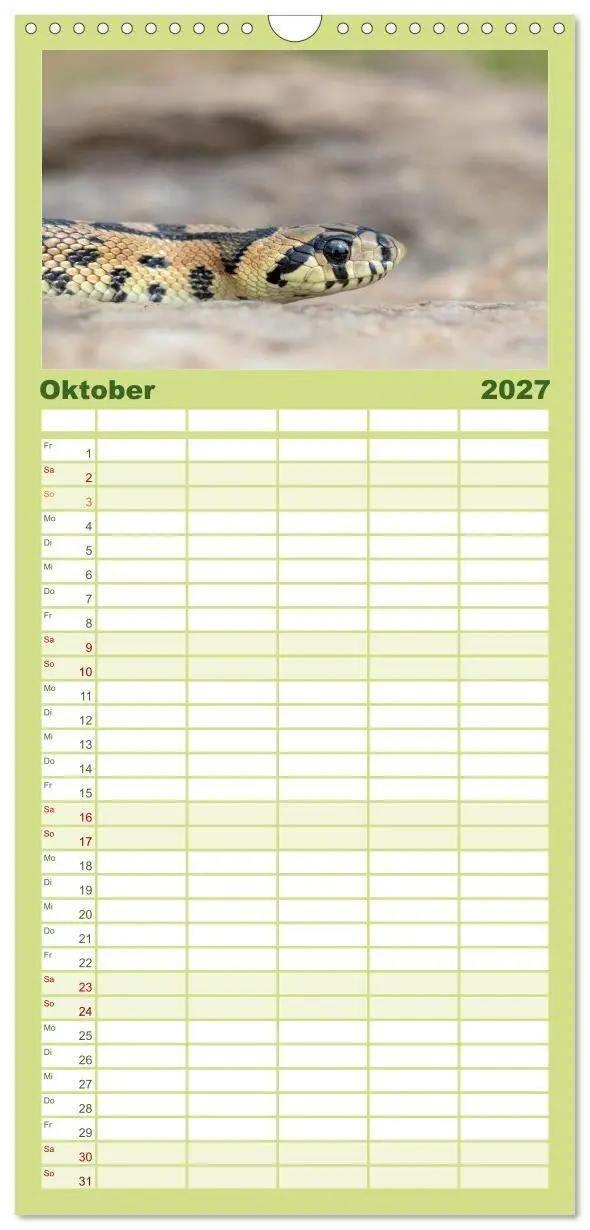 Bild: 9783594312032 | Familienplaner 2027 - Schlangen - Portraits europäischer Arten mit...