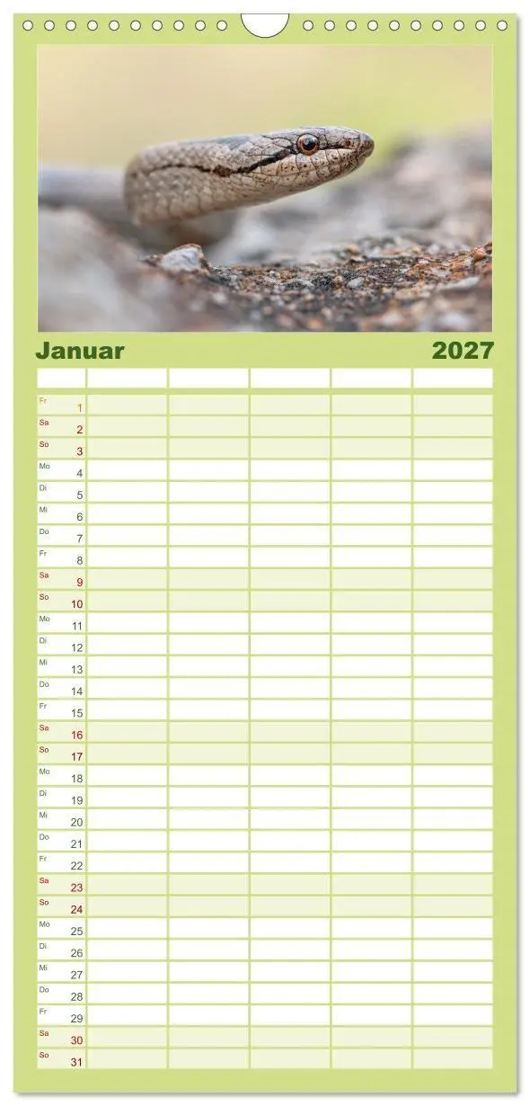 Bild: 9783594312032 | Familienplaner 2027 - Schlangen - Portraits europäischer Arten mit...