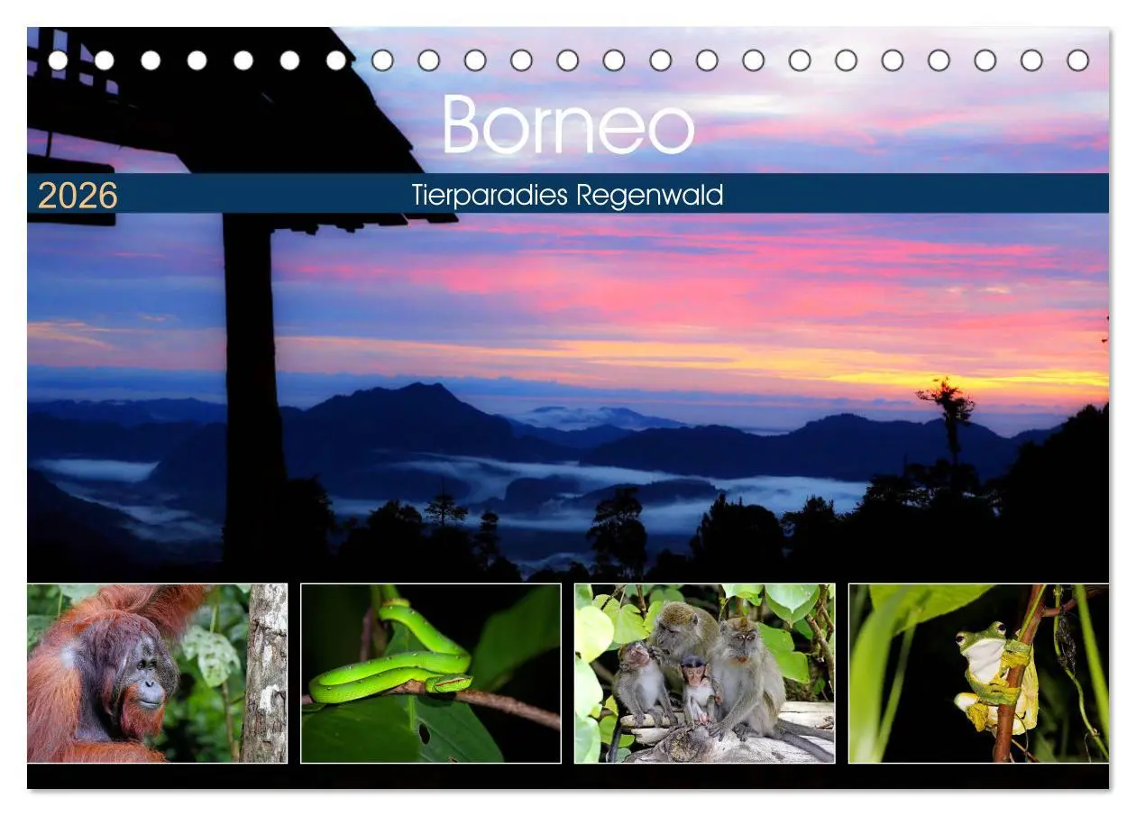 Cover: 9783457852132 | Borneo - Tierparadies Regenwald (Tischkalender 2026 DIN A5 quer),...