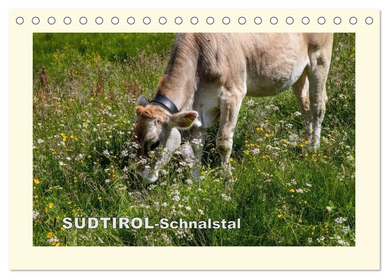 Cover: 9783569722132 | SÜDTIROL-Schnalstal (Tischkalender 2027 DIN A5 quer), CALVENDO...