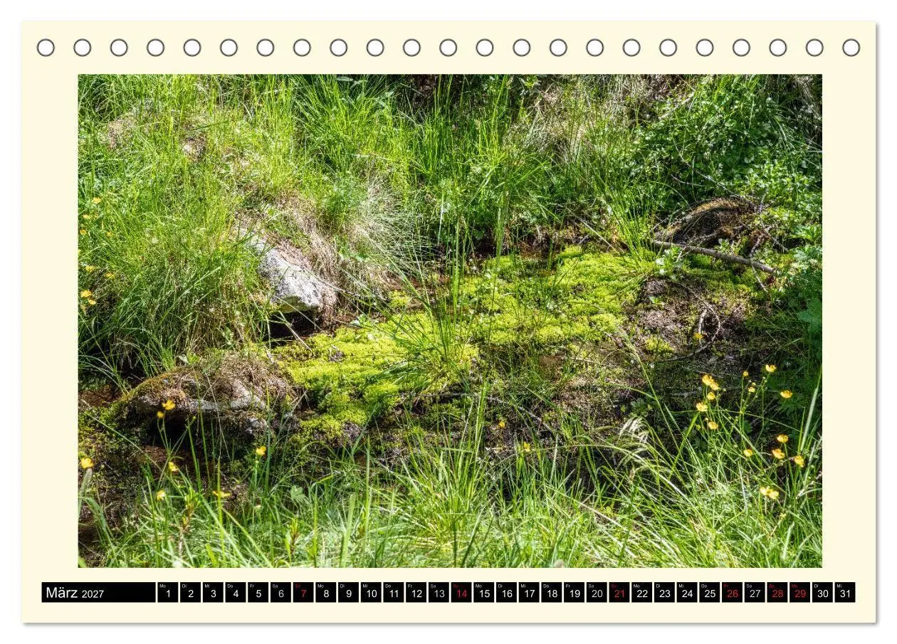 Bild: 9783569722132 | SÜDTIROL-Schnalstal (Tischkalender 2027 DIN A5 quer), CALVENDO...