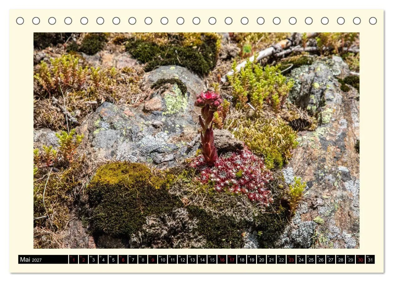 Bild: 9783569722132 | SÜDTIROL-Schnalstal (Tischkalender 2027 DIN A5 quer), CALVENDO...