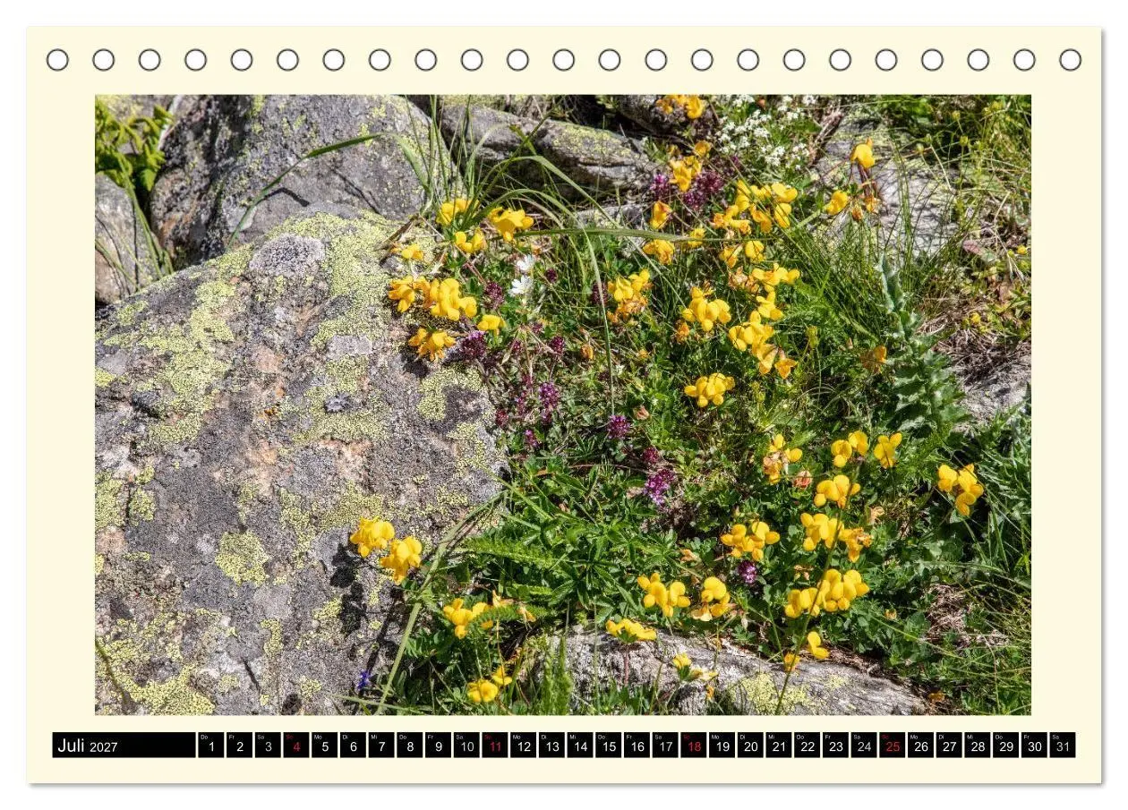 Bild: 9783569722132 | SÜDTIROL-Schnalstal (Tischkalender 2027 DIN A5 quer), CALVENDO...