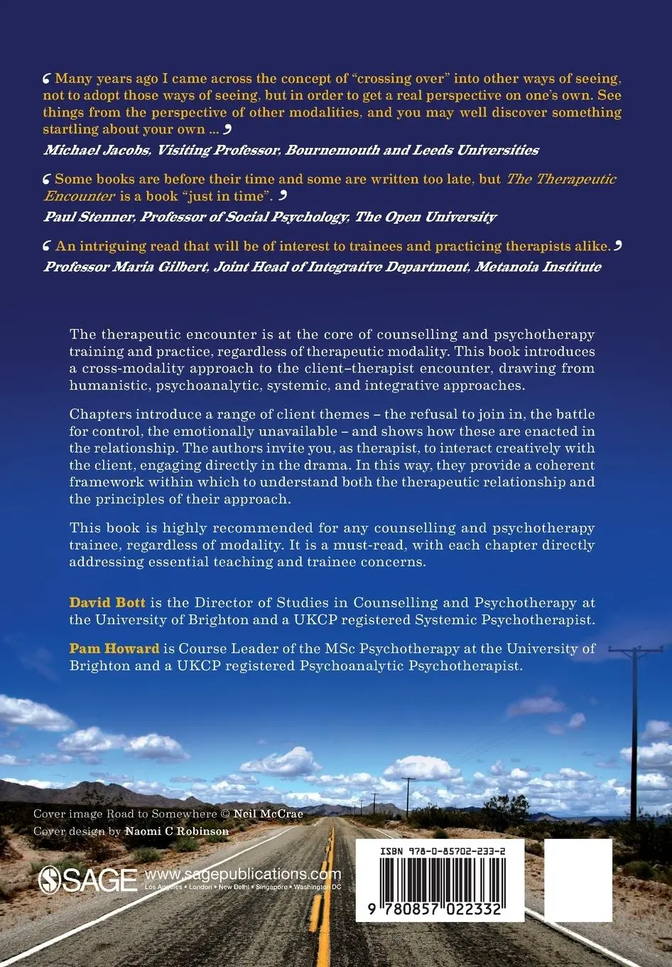 Rückseite: 9780857022332 | The Therapeutic Encounter | A Cross-modality Approach | Bott (u. a.)