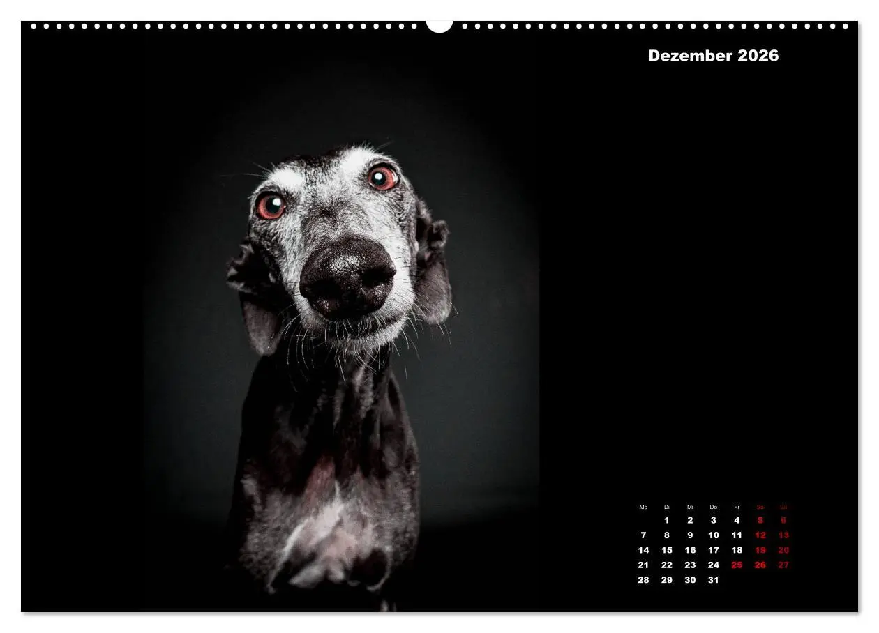 Bild: 9783457692332 | Die Stimme der Windhunde (hochwertiger Premium Wandkalender 2026...