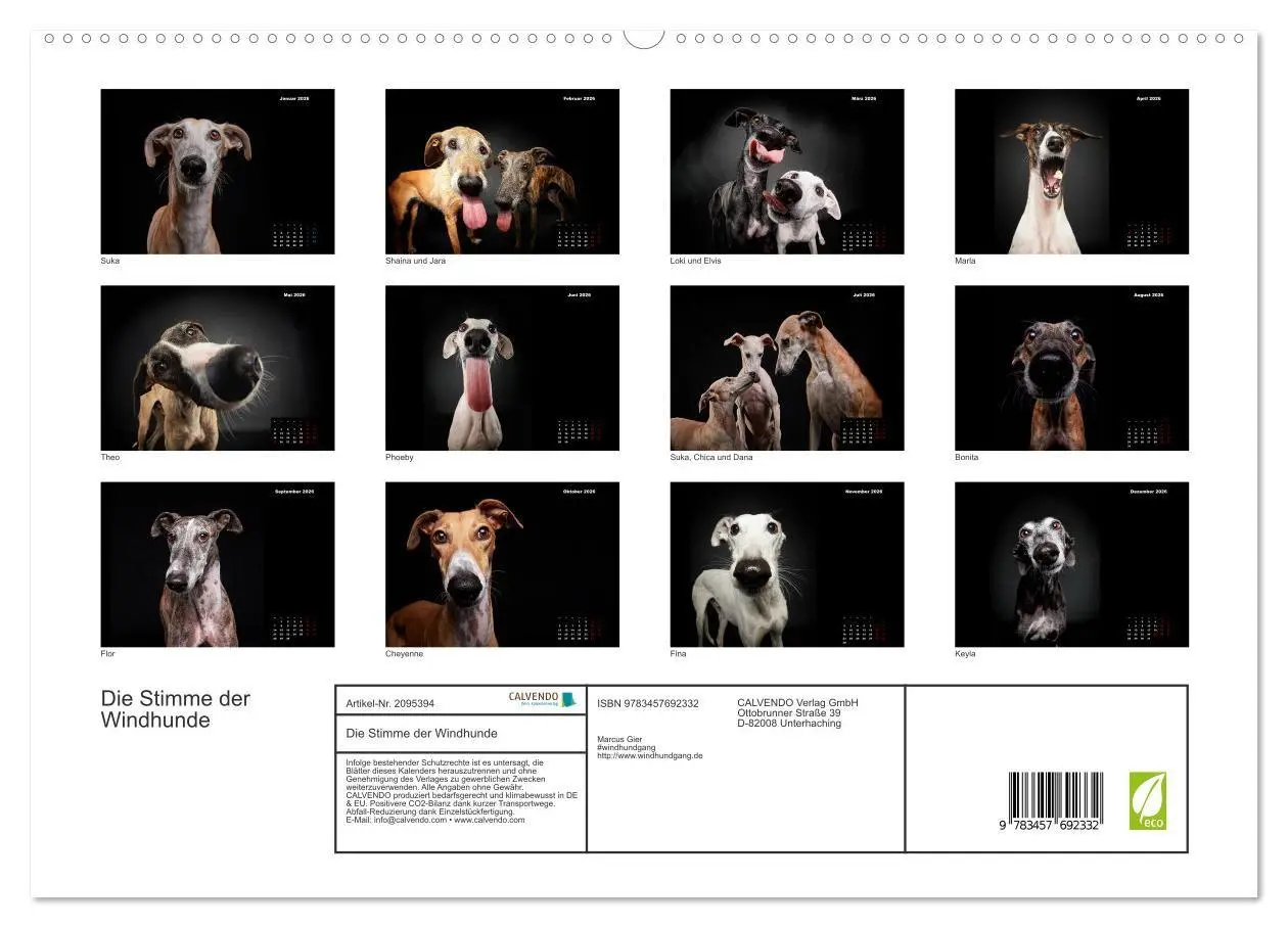 Bild: 9783457692332 | Die Stimme der Windhunde (hochwertiger Premium Wandkalender 2026...