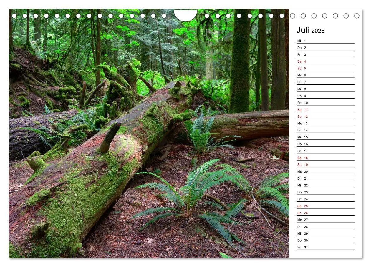 Bild: 9783457902332 | Vancouver Island - Perle im Kanadischen Westen (Wandkalender 2026...
