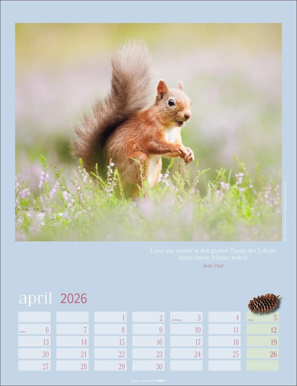 Bild: 9783839902332 | Eichhörnchen Kalender 2026 | Kalender | Tierkalender Weingarten | 2026