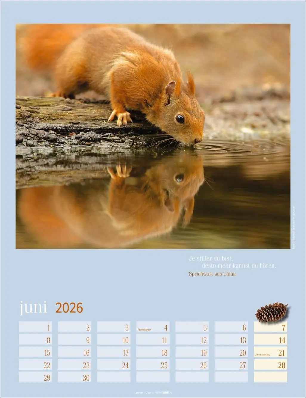 Bild: 9783839902332 | Eichhörnchen Kalender 2026 | Kalender | Tierkalender Weingarten | 2026