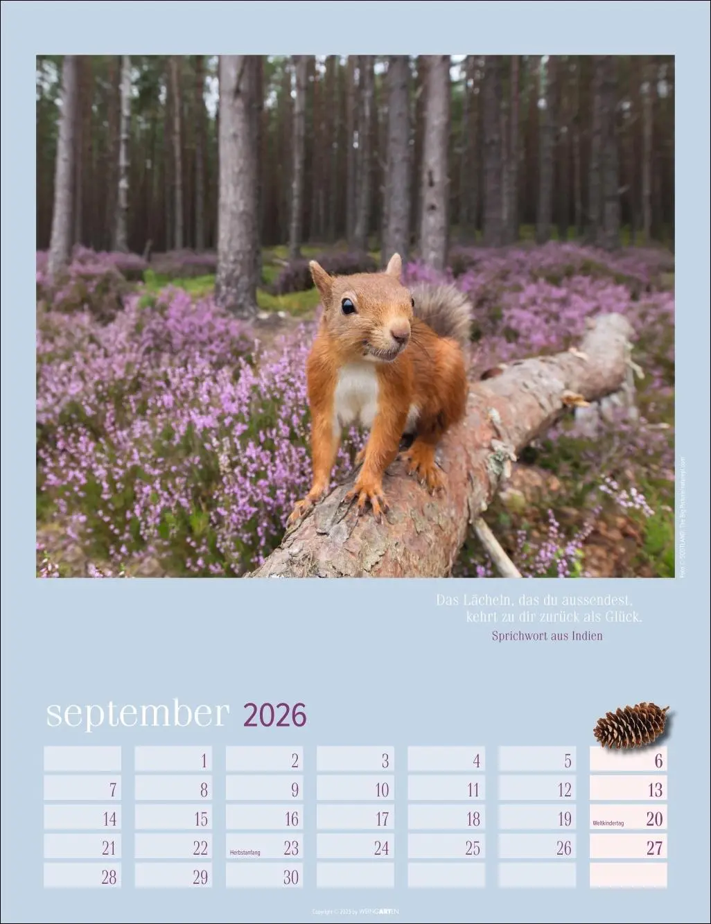 Bild: 9783839902332 | Eichhörnchen Kalender 2026 | Kalender | Tierkalender Weingarten | 2026