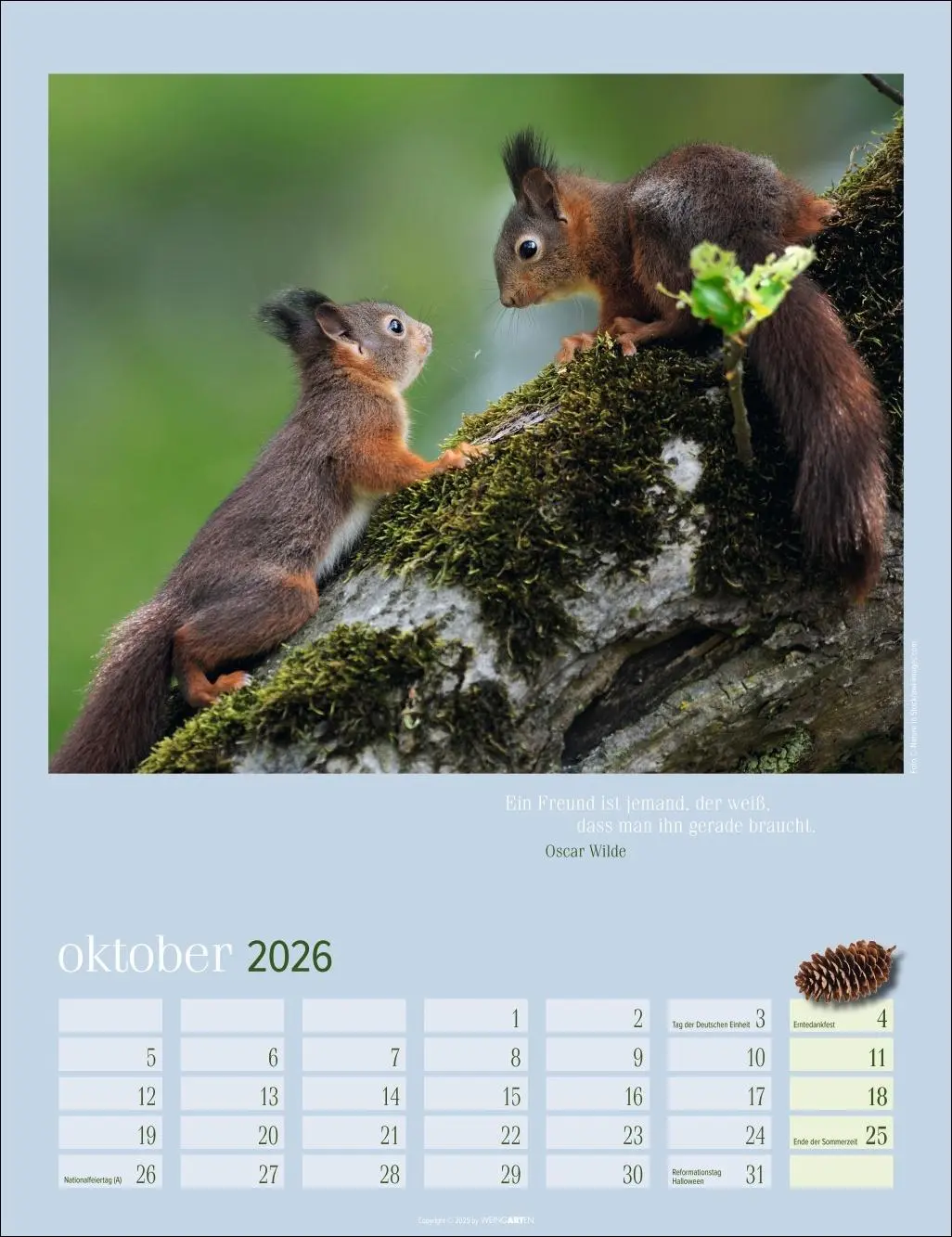 Bild: 9783839902332 | Eichhörnchen Kalender 2026 | Kalender | Tierkalender Weingarten | 2026
