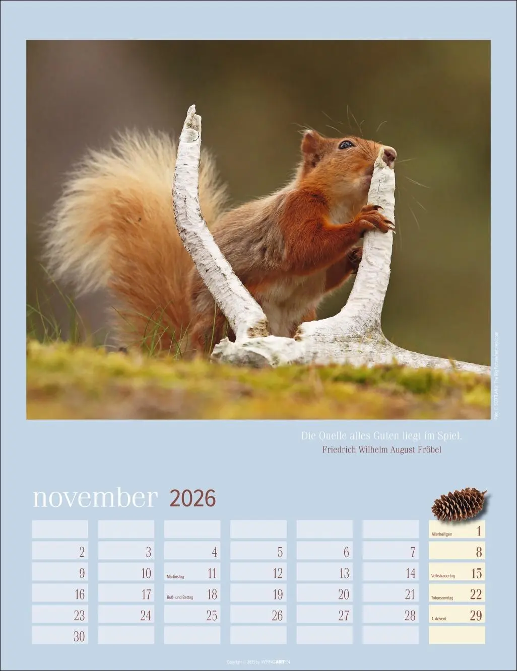 Bild: 9783839902332 | Eichhörnchen Kalender 2026 | Kalender | Tierkalender Weingarten | 2026