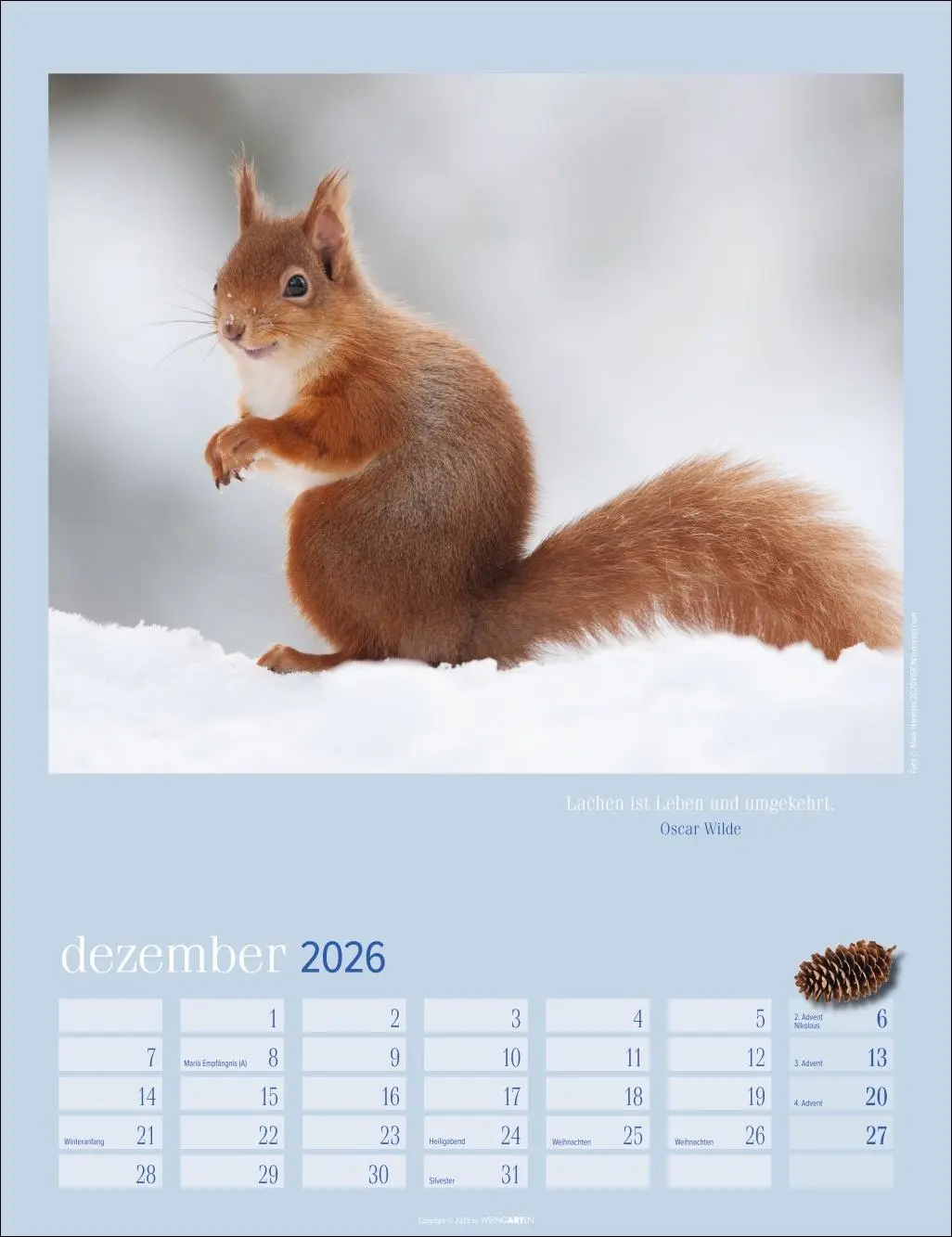 Bild: 9783839902332 | Eichhörnchen Kalender 2026 | Kalender | Tierkalender Weingarten | 2026
