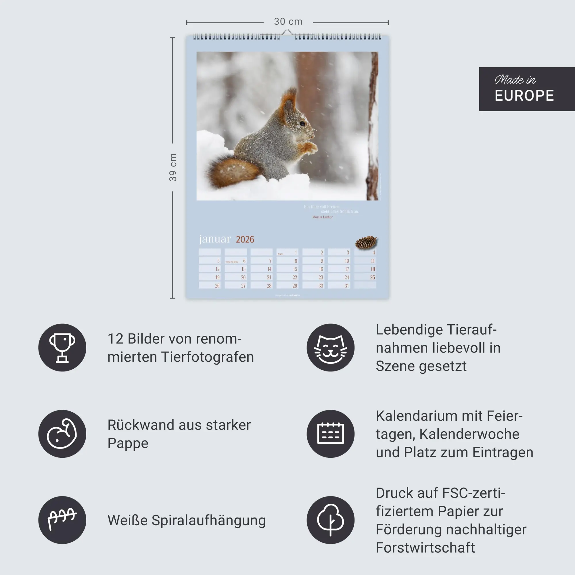 Bild: 9783839902332 | Eichhörnchen Kalender 2026 | Kalender | Tierkalender Weingarten | 2026