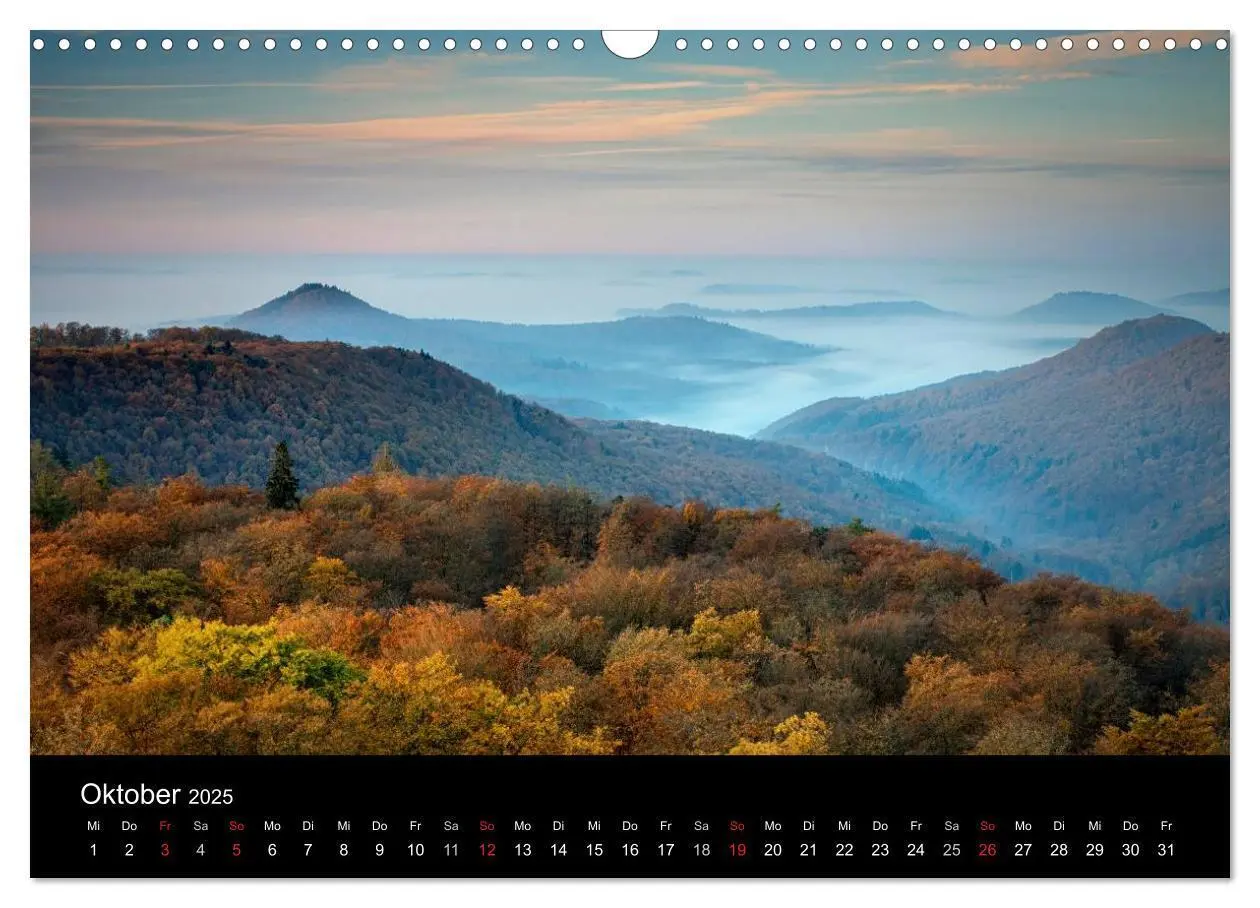 Bild: 9783435592432 | Mystischer Pfälzer Wald (Wandkalender 2025 DIN A3 quer), CALVENDO...