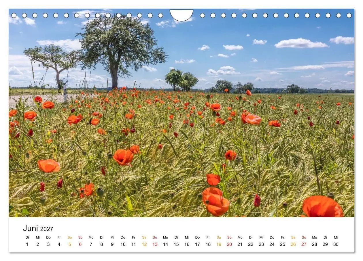 Bild: 9783594372432 | Unterwegs auf der Romantischen Strasse (Wandkalender 2027 DIN A4...
