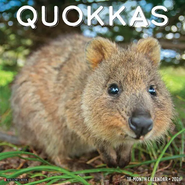 Cover: 9781549252532 | Quokkas 2026 Wall Calendar | Willow Creek Press | Kalender | Englisch