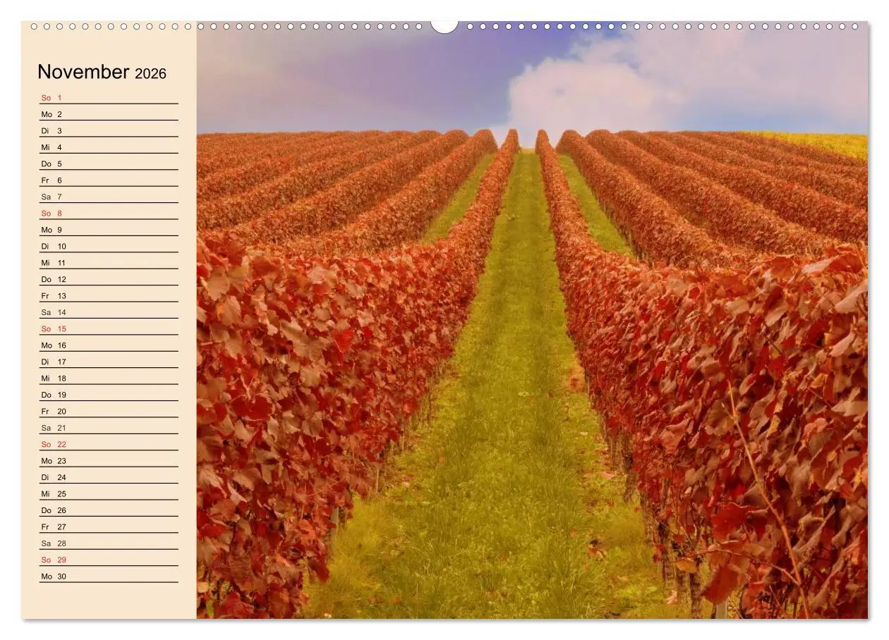 Bild: 9783457982532 | Weinanbau. Von der Traube zum Wein (Wandkalender 2026 DIN A2 quer),...