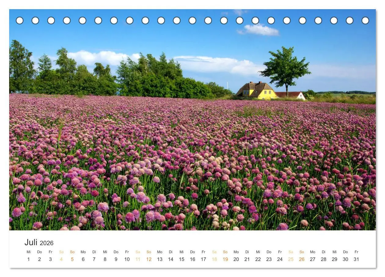 Bild: 9783516212532 | Bornholm Pur (Tischkalender 2026 DIN A5 quer), CALVENDO Monatskalender