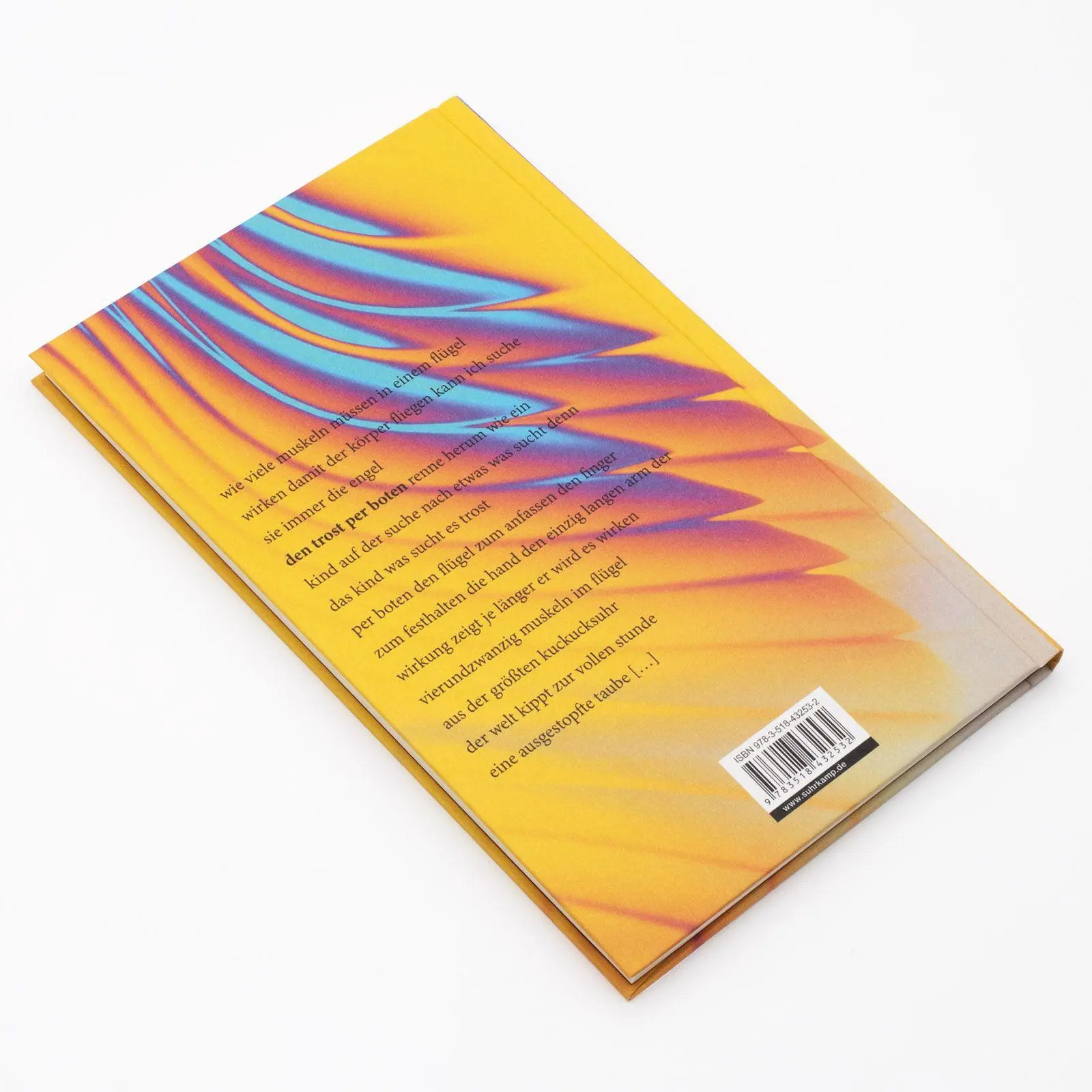 Bild: 9783518432532 | hungern beten heulen schwimmen | Sirka Elspaß | Buch | 80 S. | Deutsch