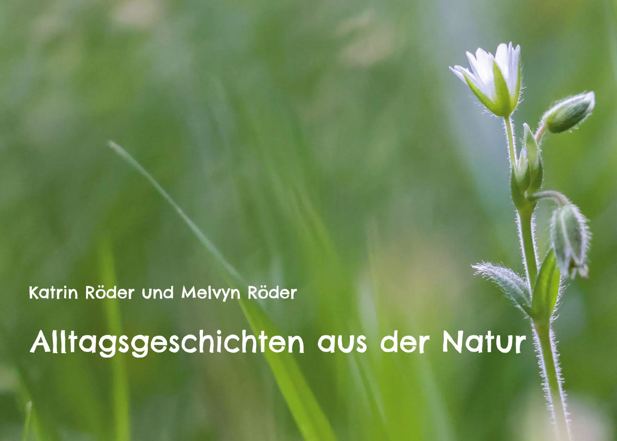 Cover: 9783759792532 | Alltagsgeschichten aus der Natur | Katrin Röder (u. a.) | Buch | 36 S.