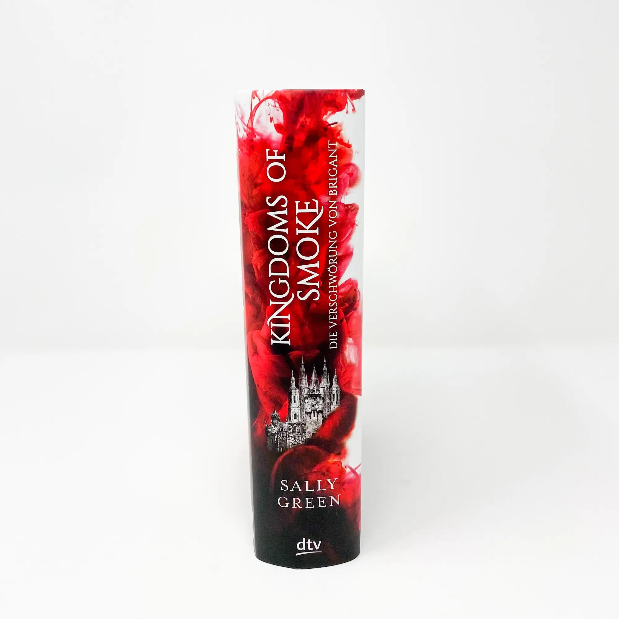 Bild: 9783423762632 | Kingdoms of Smoke - Die Verschwörung von Brigant | Sally Green | Buch