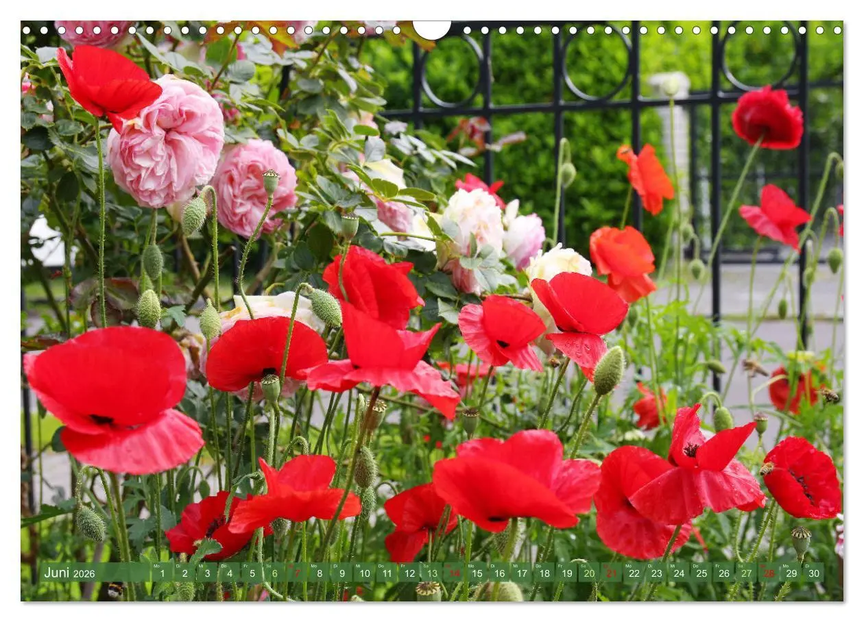 Bild: 9783457282632 | Im Reich der Blüten (Wandkalender 2026 DIN A3 quer), CALVENDO...
