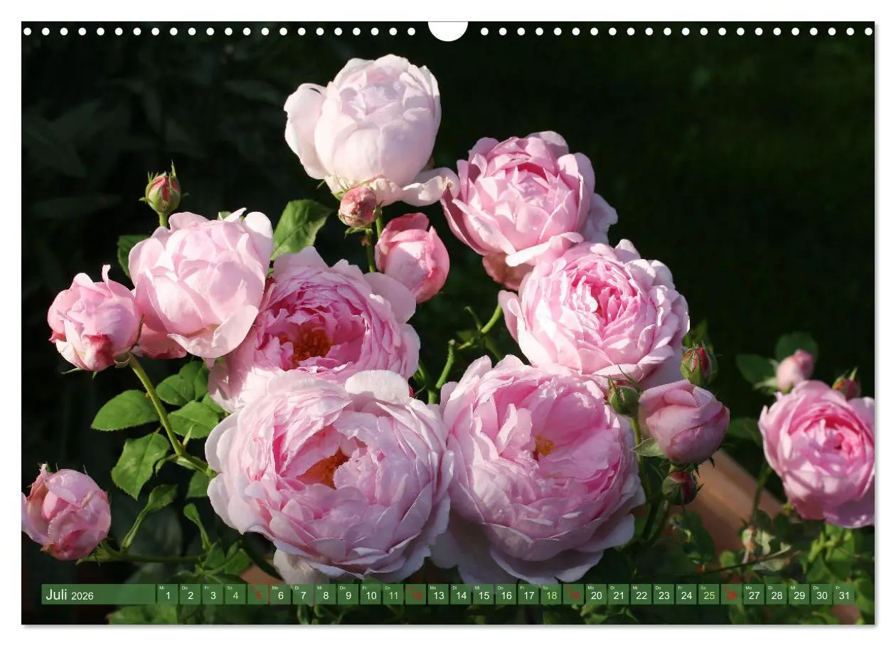 Bild: 9783457282632 | Im Reich der Blüten (Wandkalender 2026 DIN A3 quer), CALVENDO...