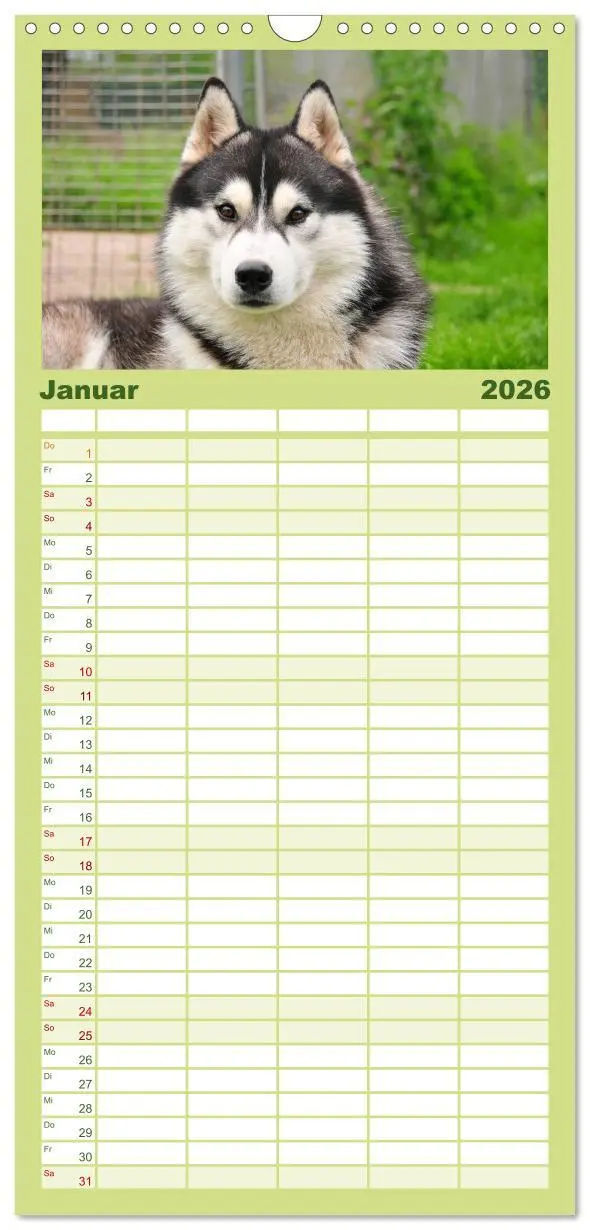Bild: 9783516512632 | Familienplaner 2026 - Huskys - Traumhunde mit 5 Spalten...