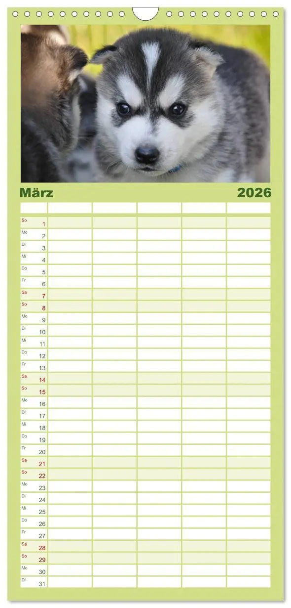 Bild: 9783516512632 | Familienplaner 2026 - Huskys - Traumhunde mit 5 Spalten...