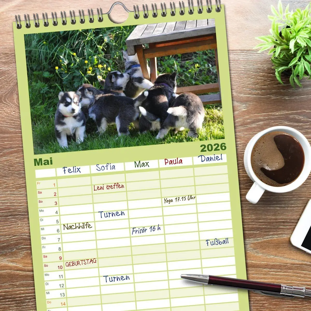 Bild: 9783516512632 | Familienplaner 2026 - Huskys - Traumhunde mit 5 Spalten...