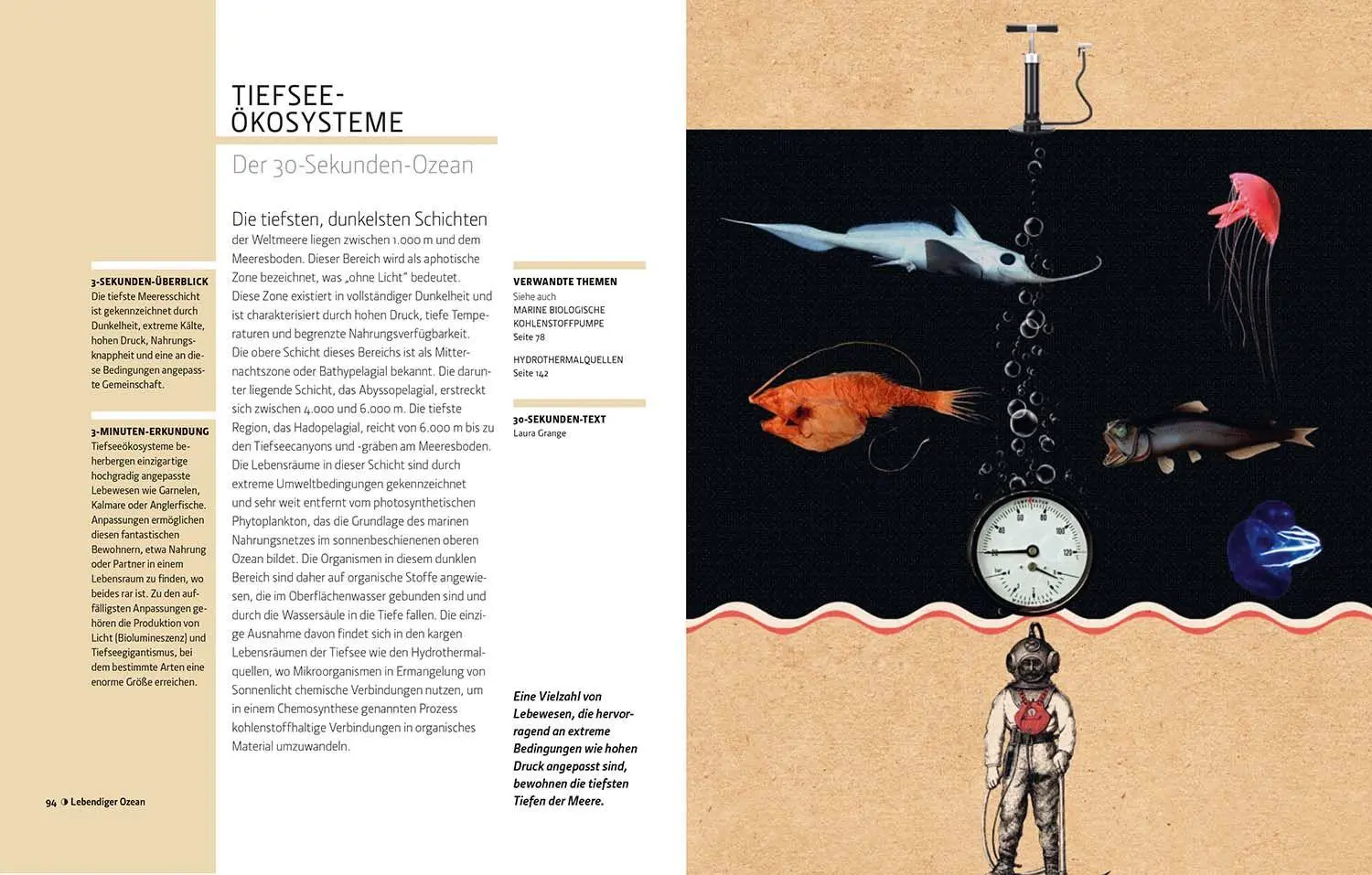 Bild: 9789464992632 | Ozeane in 30 Sekunden | Lenn Yueng-Djern (u. a.) | Buch | 160 S.