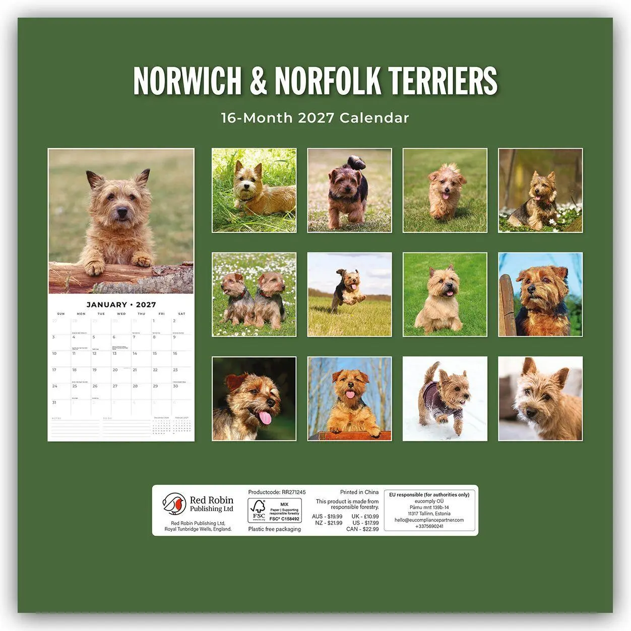 Rückseite: 9781837012732 | Norwich Terrier und Norfolk Terrier 2027 - 16-Monatskalender | Red