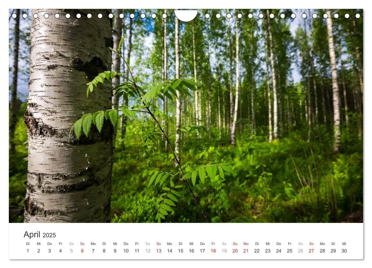 Bild: 9783435562732 | Landschaften Finnlands (Wandkalender 2025 DIN A4 quer), CALVENDO...