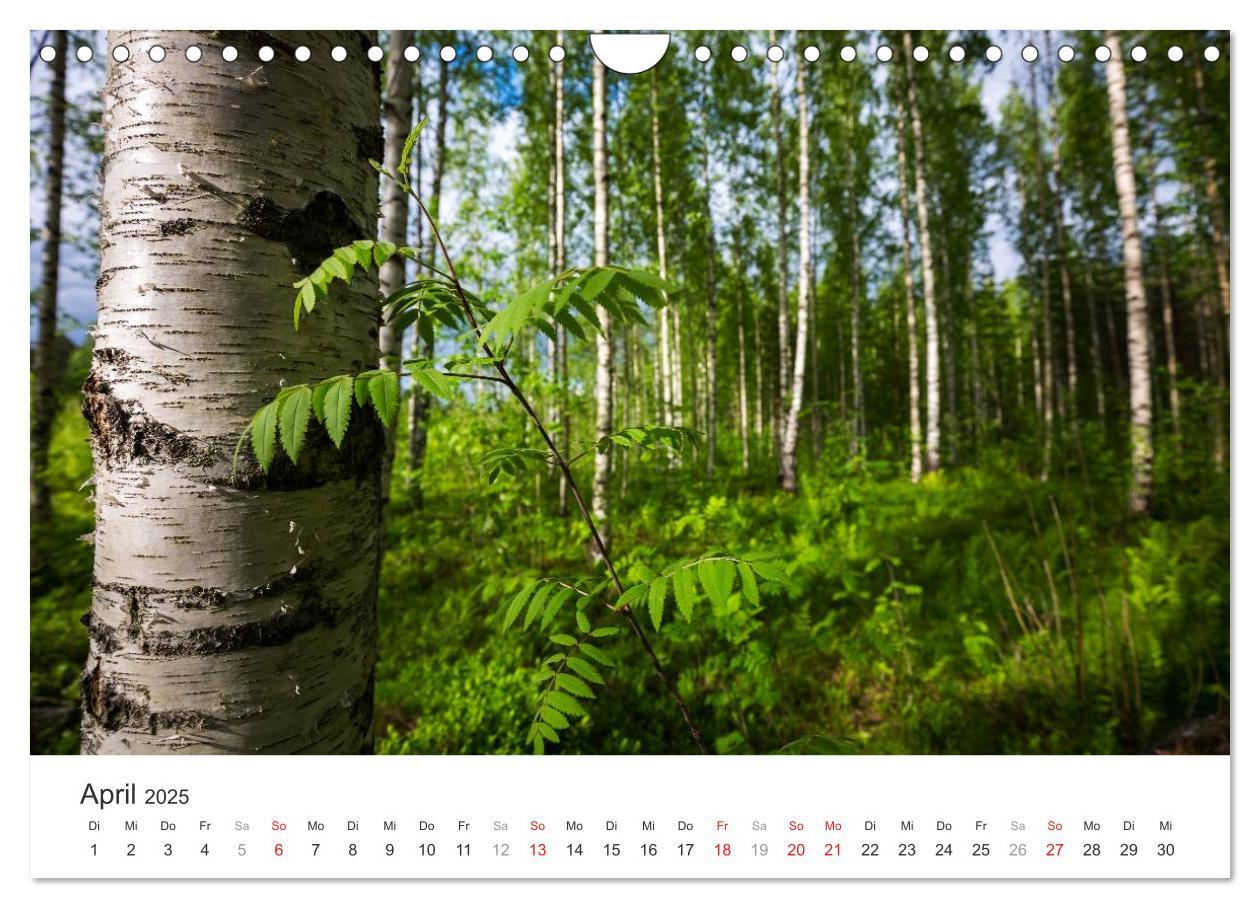 Bild: 9783435562732 | Landschaften Finnlands (Wandkalender 2025 DIN A4 quer), CALVENDO...
