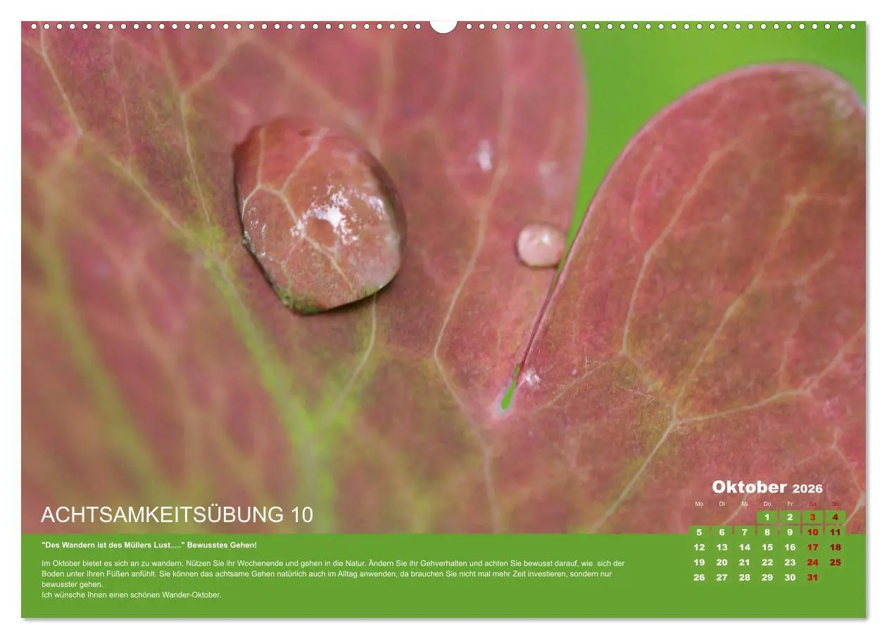 Bild: 9783457722732 | Achtsamkeit, 12 Übungen zu mehr Achtsamkeit. (Wandkalender 2026 DIN...