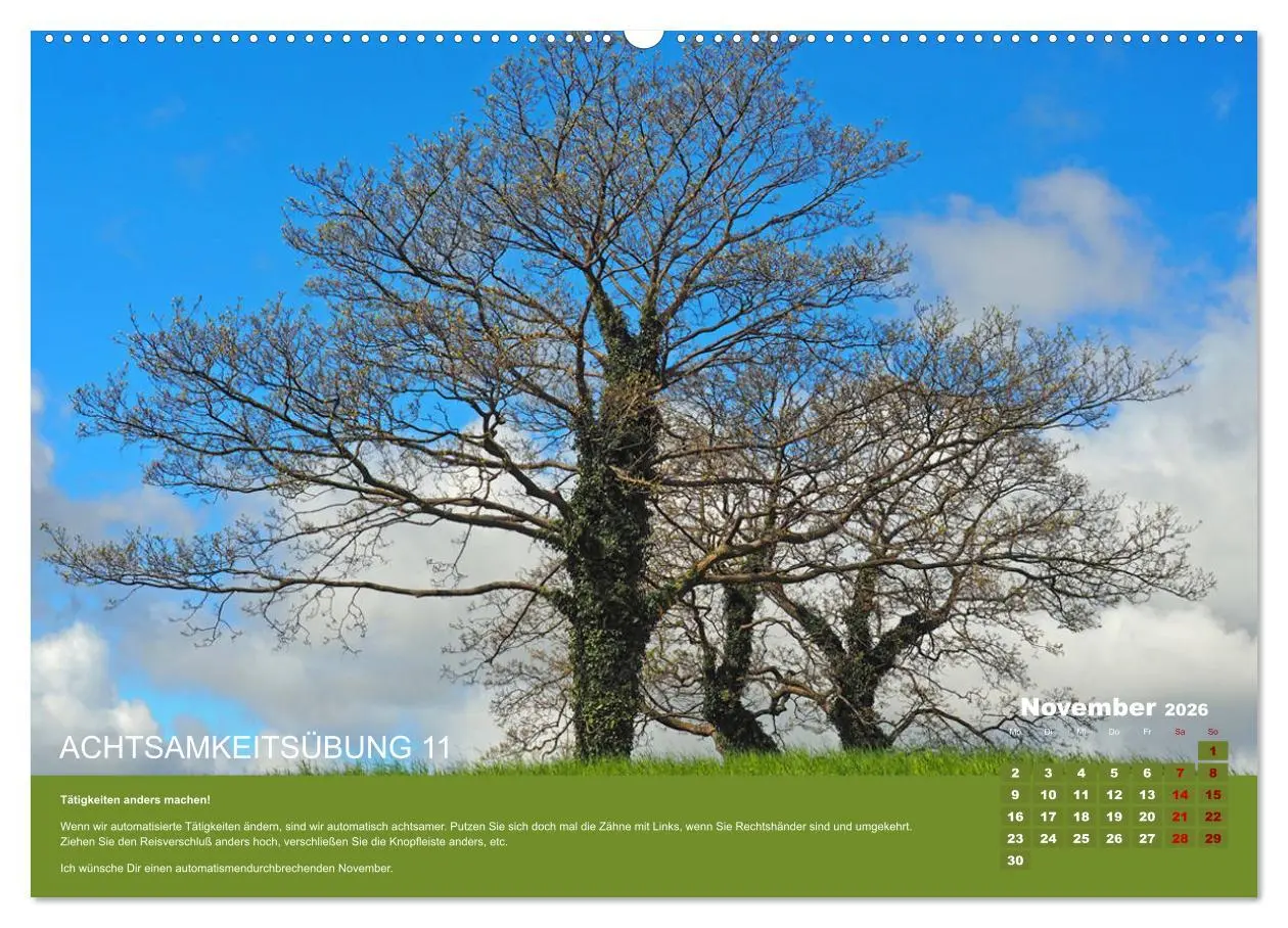 Bild: 9783457722732 | Achtsamkeit, 12 Übungen zu mehr Achtsamkeit. (Wandkalender 2026 DIN...