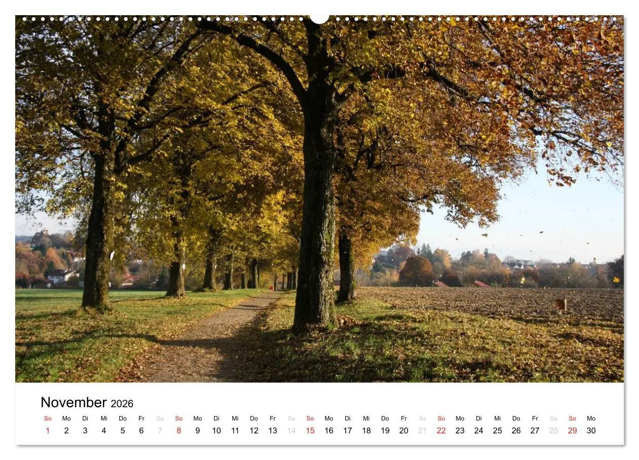 Bild: 9783516052732 | Der Ebersberger Forst und seine Umgebung (Wandkalender 2026 DIN A2...