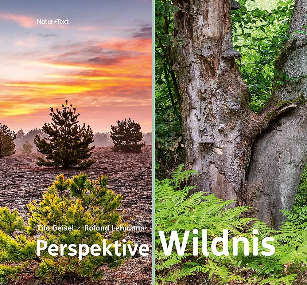 Cover: 9783942062732 | Perspektive Wildnis | Roland Lehmann | Buch | 192 S. | Deutsch | 2025