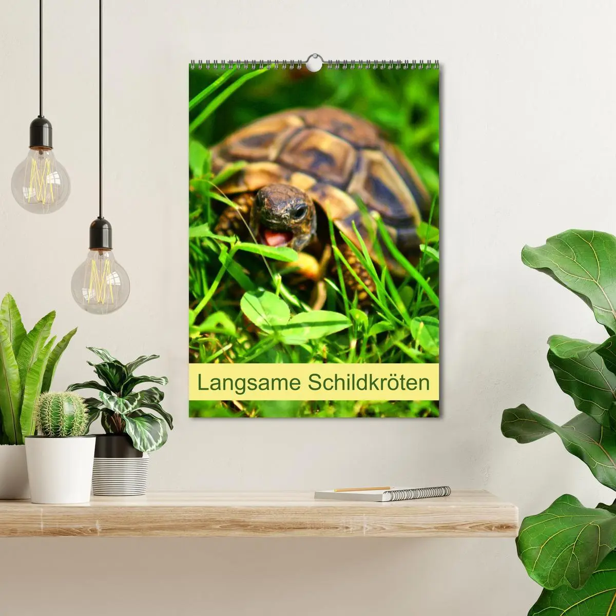 Bild: 9783516422832 | Langsame Schildkröten (Wandkalender 2026 DIN A3 hoch), CALVENDO...