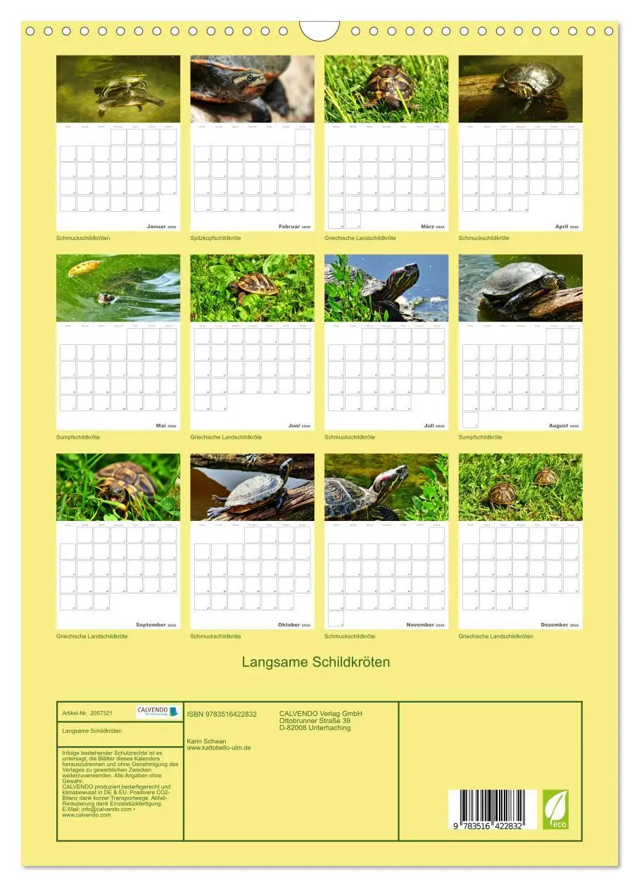 Bild: 9783516422832 | Langsame Schildkröten (Wandkalender 2026 DIN A3 hoch), CALVENDO...