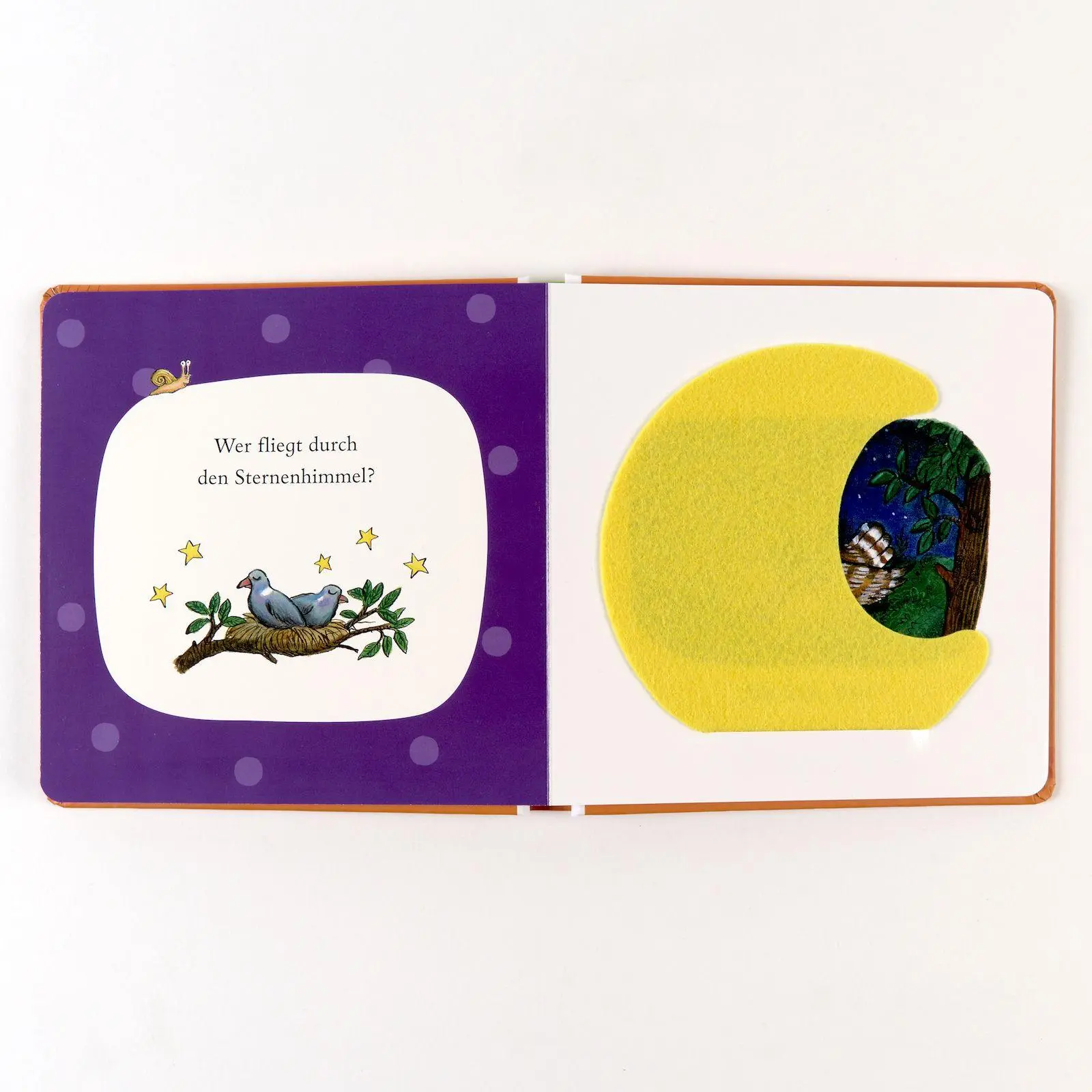 Bild: 9783407752932 | Such mal! Wer versteckt sich an Halloween? | Fühlbuch mit Filzklappen