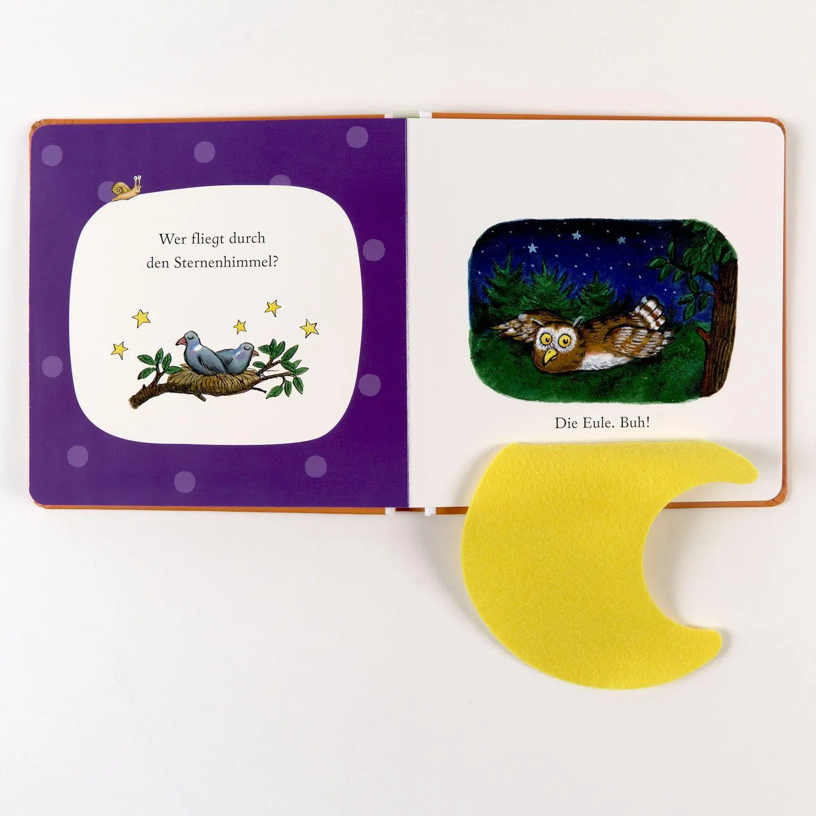 Bild: 9783407752932 | Such mal! Wer versteckt sich an Halloween? | Fühlbuch mit Filzklappen