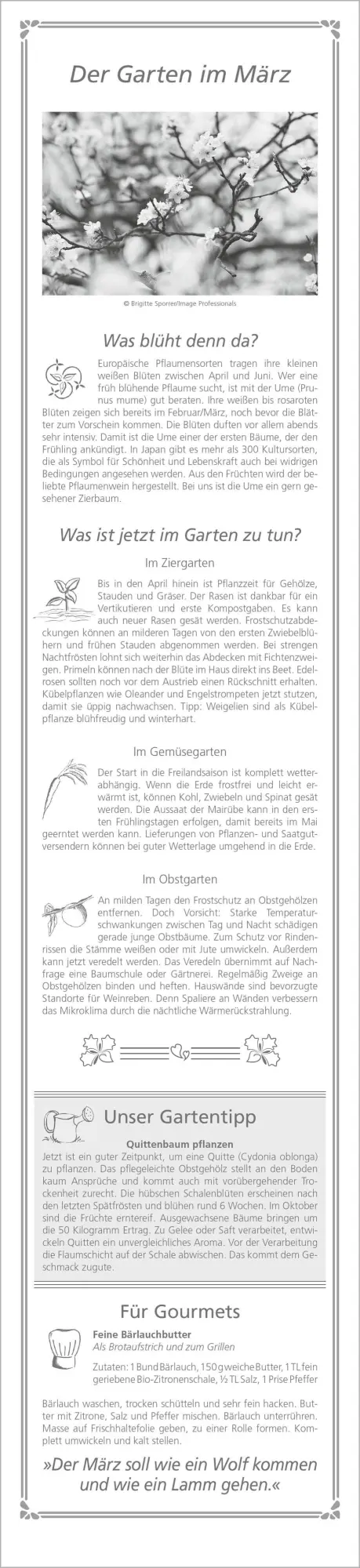 Bild: 4069095013032 | Paules Gartenplaner 2027 | Neumann Verlage GmbH &amp; Co KG | Kalender